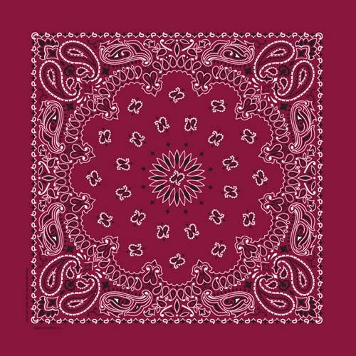 Bandana Paisley