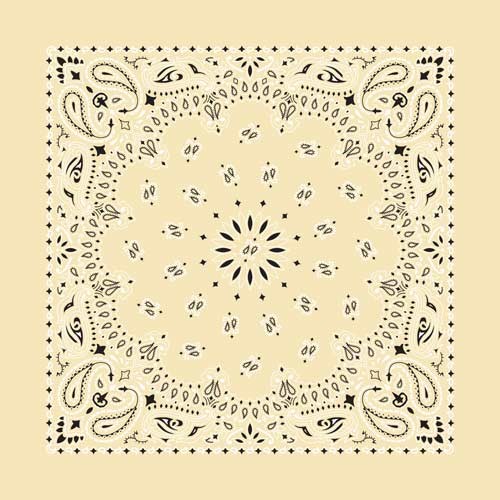 Bandana Paisley