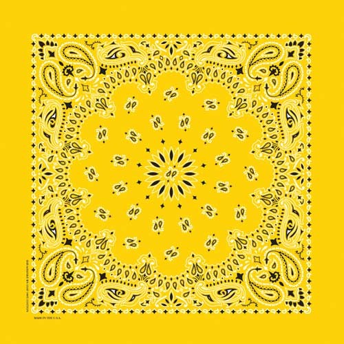 Bandana Paisley
