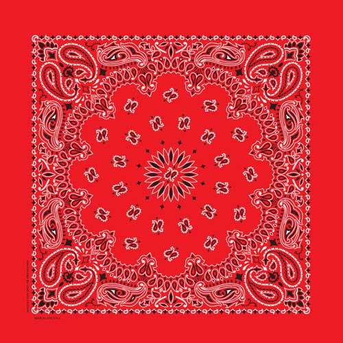 Bandana Paisley