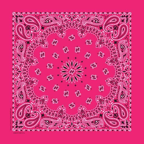 Bandana Paisley