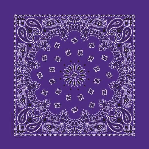 Bandana Paisley