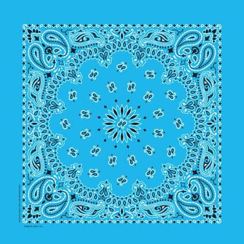 Bandana Paisley