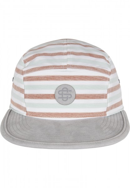 Cayler & Sons Inside Printed Stripes white/grey