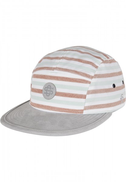 Cayler & Sons Inside Printed Stripes white/grey