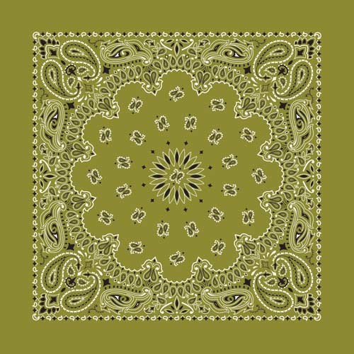 Bandana Paisley