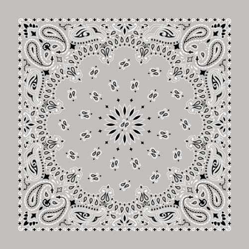 Bandana Paisley
